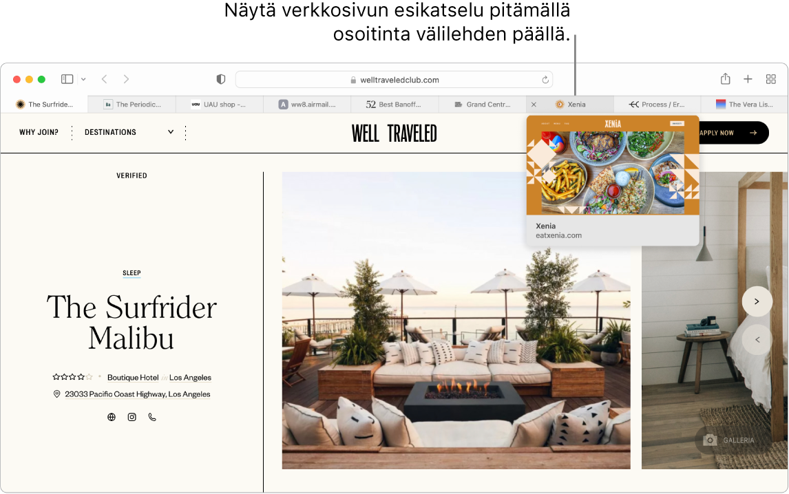 Safari-ikkuna, jossa on aktiivinen verkkosivu nimellä ”Well Traveled” ja 9 muuta välilehteä. ”Grand Central Market” -välilehden esikatselu näkyy välilehtensä alla.