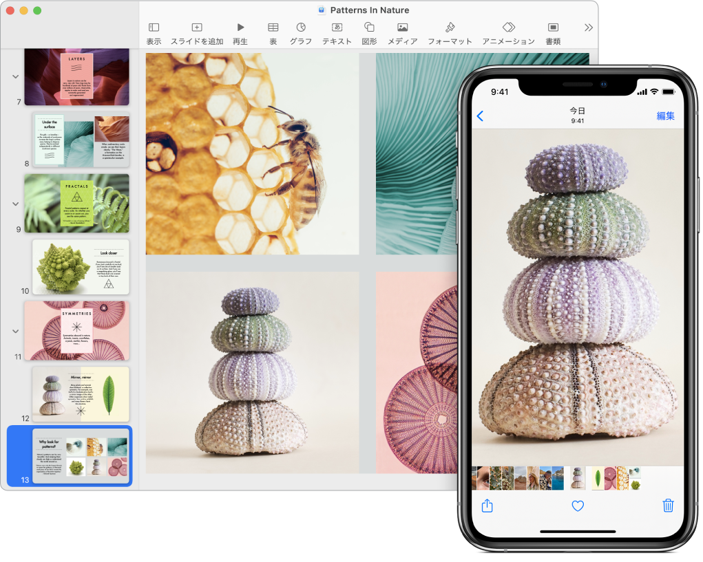 iPhoneに写真が表示されており、隣のMacにはKeynoteプレゼンテーションにペーストされたあとの同じ写真が表示されています。