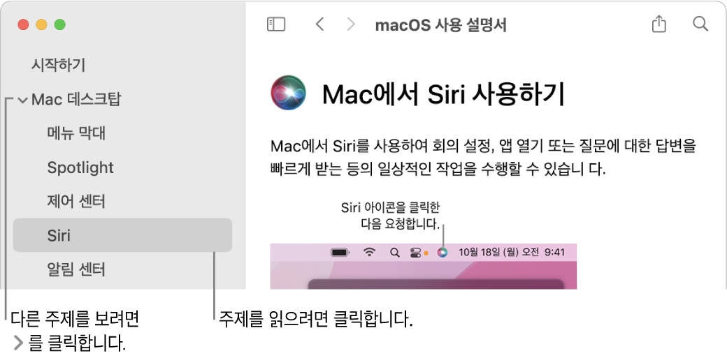 사이드바에 나열된 주제를 보는 방법 및 주제의 내용을 표시하는 방법을 보여주는 도움말 뷰어.