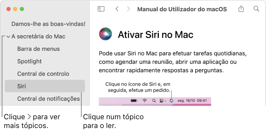 Visualizador da Ajuda a mostrar a forma de visualizar tópicos listados na barra lateral e como apresentar o conteúdo de um tópico.