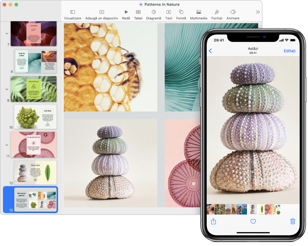 Un iPhone care afișează o poză, lângă un Mac care afișează poza după ce a fost lipită într‑o prezentare Keynote.