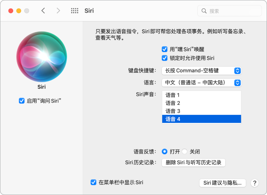 Siri 偏好设置窗口，左边“启用‘询问 Siri’”已选，右边显示多个自定 Siri 的选项，包括“用‘嘿 Siri’唤醒”。