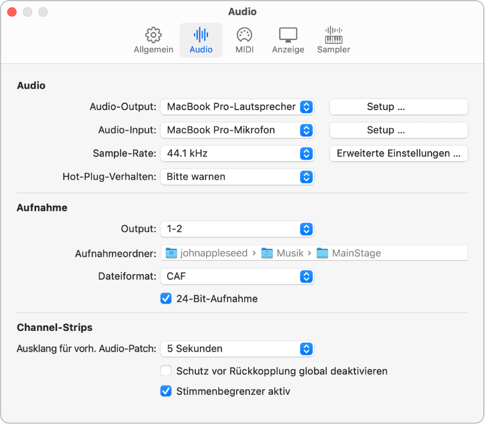 Abbildung. Bereich „Audio“