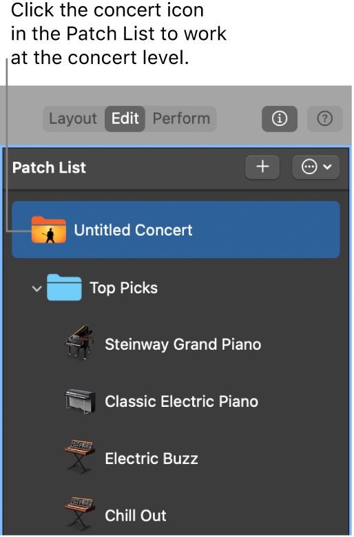 Figure. Selecting the concert icon in the Patch List.
