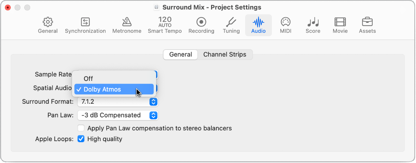 Figure. Turn on spatial audio in the  project settings.