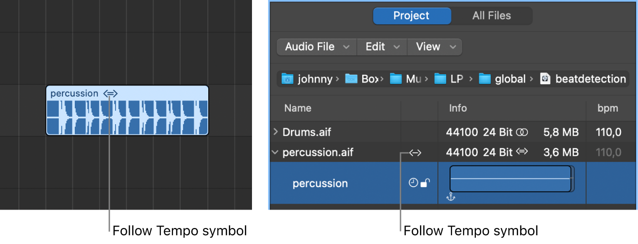 Figure. Follow Tempo symbol on audio region, and in Project Audio Browser.
