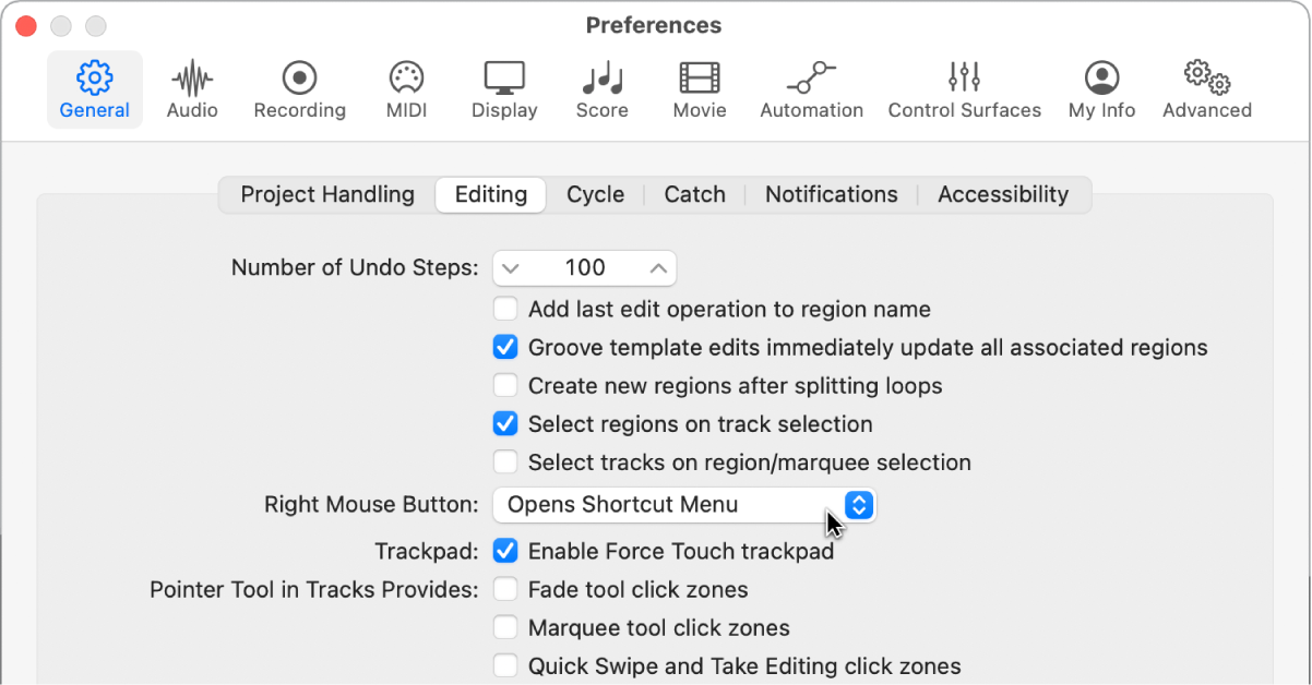 Figure. Pointer Tool checkboxes in the Editing pane in the General preferences.