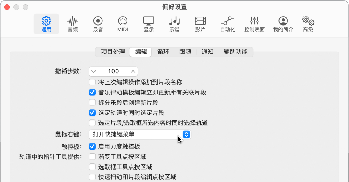 图。“通用”偏好设置的“编辑”面板中的“指针工具”复选框。