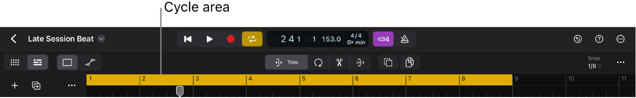 Figure. Top of the Tracks area showing active cycle area, with Cycle button in the control bar.