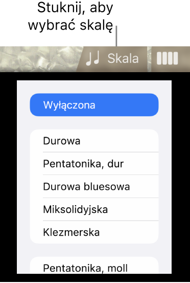 Przycisk skali instrumentu Basy oraz lista skal