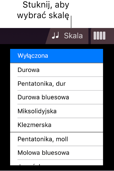 Przycisk skali instrumentu smyczkowego oraz lista skal