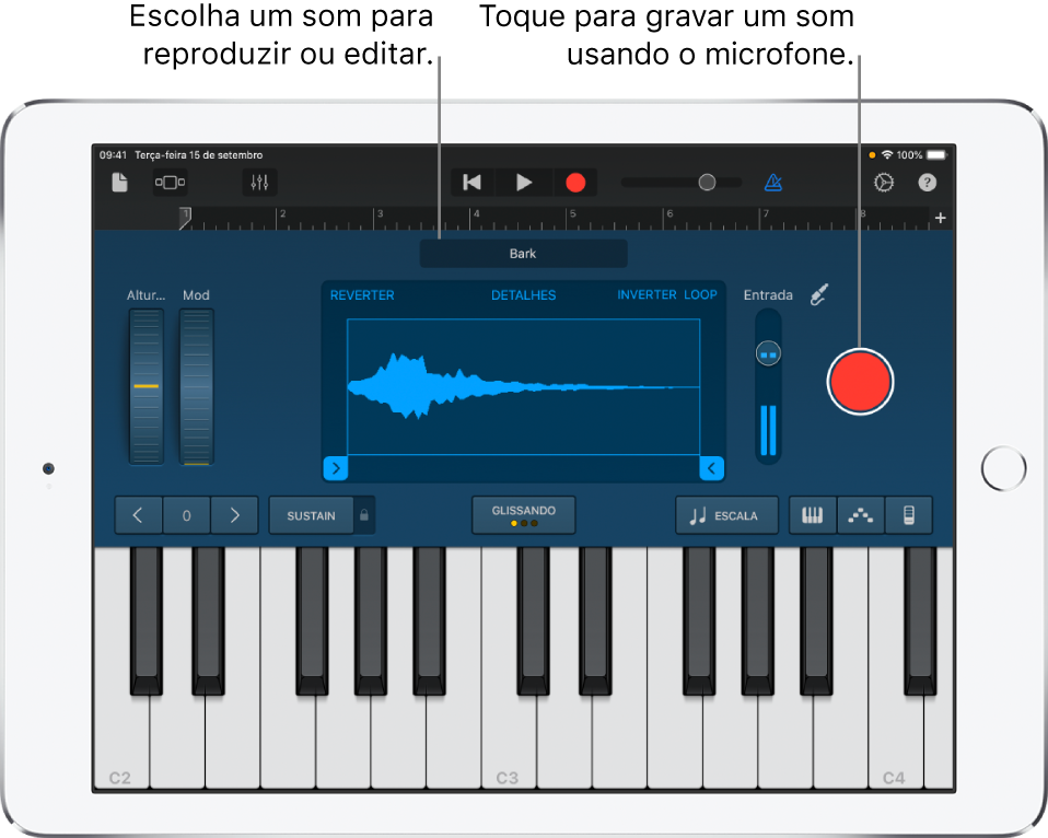 Instrumento Touch Sampleador