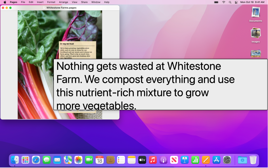 make text smaller on macbook