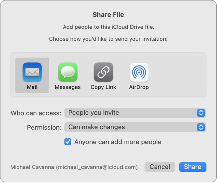「共享檔案」視窗，顯示您可用來提出邀請的 App 以及共享文件的選項。