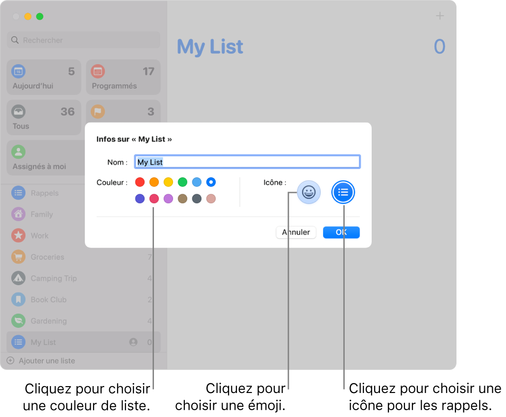 Zone de dialogue Infos pour une liste des rappels, montrant les échantillons de couleur, et les boutons icônes.