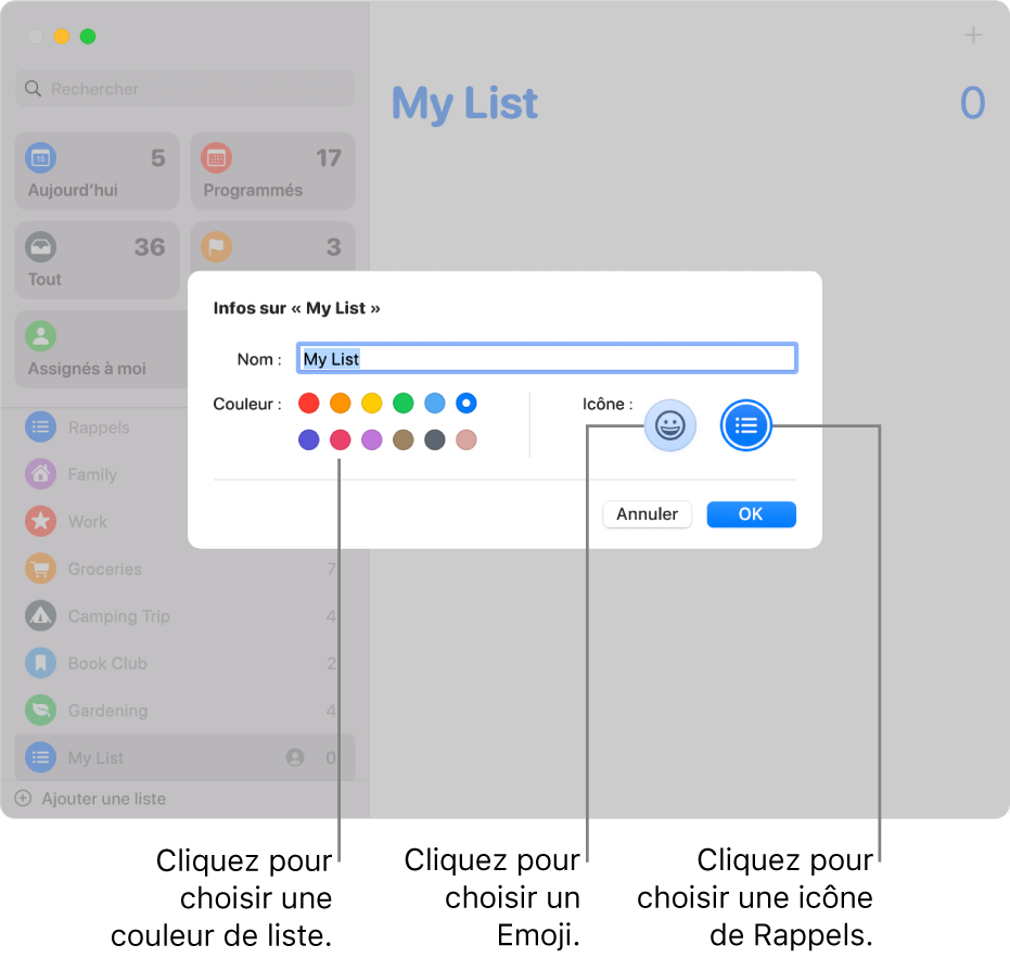La zone de dialogue Infos pour une liste de Rappels, affichant les échantillons de couleurs et les boutons dʼicônes.