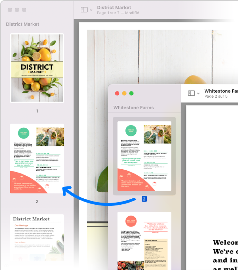 Une vignette de page d’un fichier PDF déplacée vers la barre latérale d’un autre.