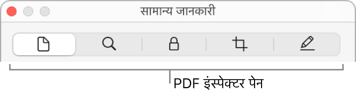 PDF इंस्पेक्टर पैन।