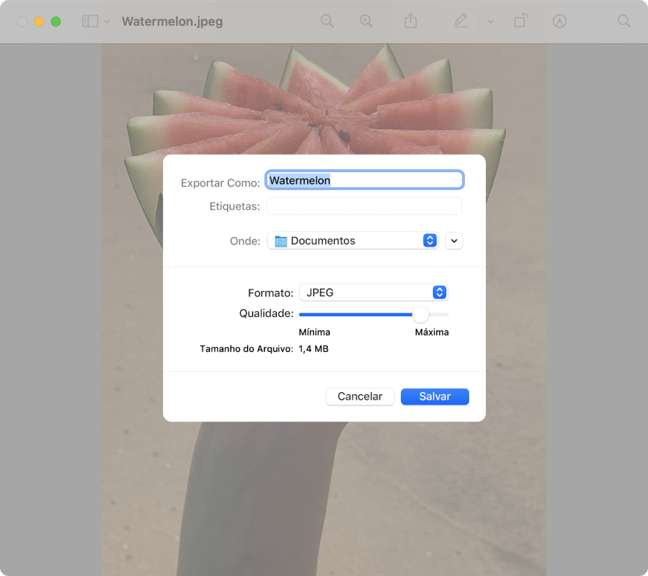 Opções de exportação na Pré‑Visualização.