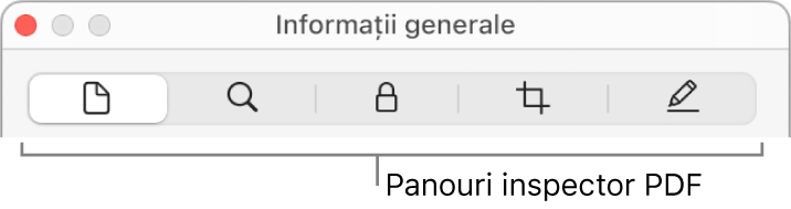 Panourile inspector PDF.