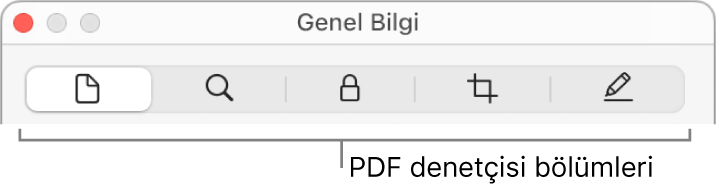 PDF denetçi bölümleri.