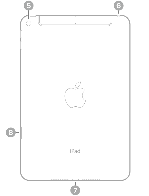 iPad mini (5th generation) - Apple Support