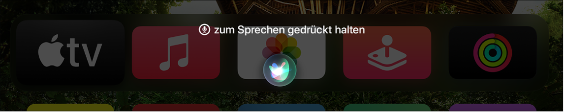 Home-Bildschirm mit Siri-Aufforderung