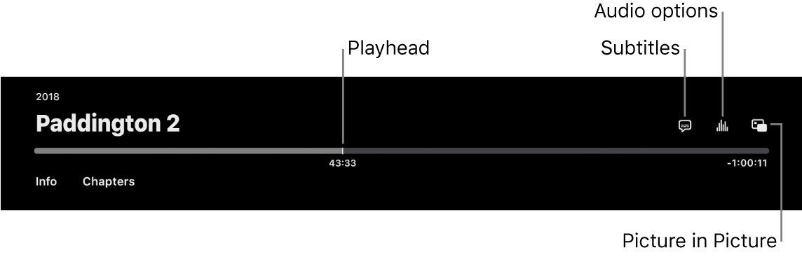 Playback controls