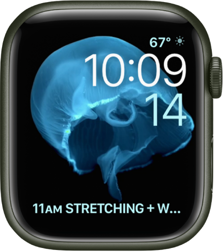apple watch display