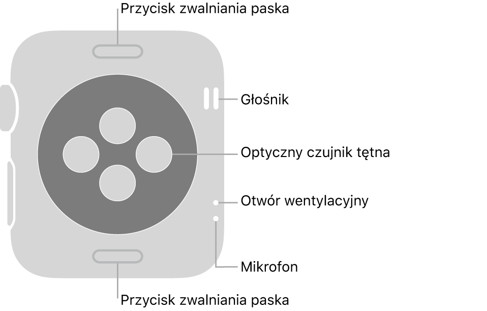 Apple Watch Series 3 widziany z tyłu. Na górze i na dole znajdują się przyciski zwalniania paska. Na środku znajdują się optyczne czujniki tętna. Z boku znajdują się otwory głośnika, wentylacji i mikrofonu.