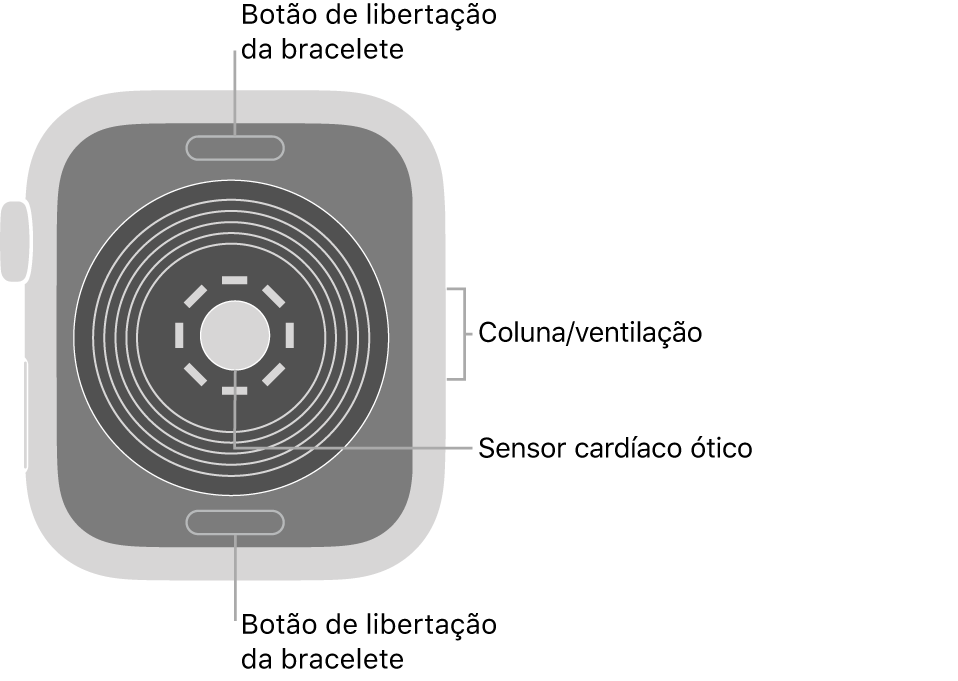 Apple Watch SE visto de trás, com os botões de libertação da bracelete na parte superior e na parte inferior, o sensor cardíaco ótico ao meio, e a coluna/ventilação na parte lateral.