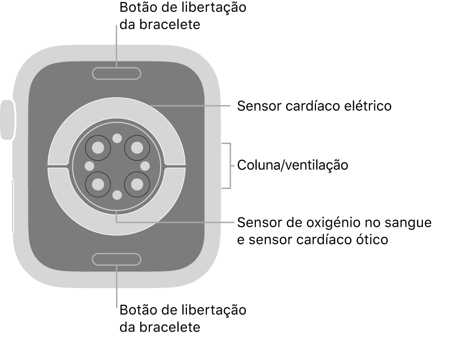Apple Watch Series 6 visto de trás, com os botões de libertação da bracelete na parte superior e na parte inferior, os sensores cardíacos elétricos, os sensores cardíacos óticos e os sensores de oxigénio no sangue ao meio, e a coluna/ventilação na parte lateral.