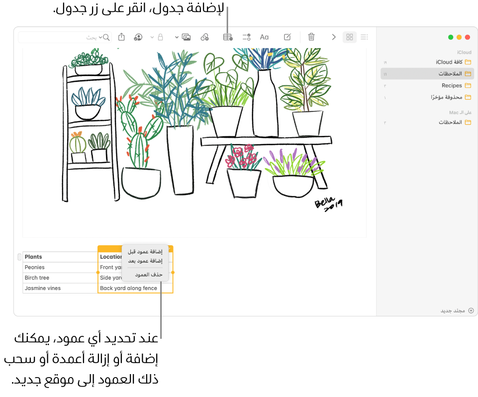 نافذة الملاحظات تعرض زر الجدول—انقر عليه لإضافة جدول. ضمن محتوى الملاحظة، يتم تحديد عمود في الجدول بحيث يمكنك إما إضافة أعمدة أو إزالتها أو سحبه إلى موقع جديد.