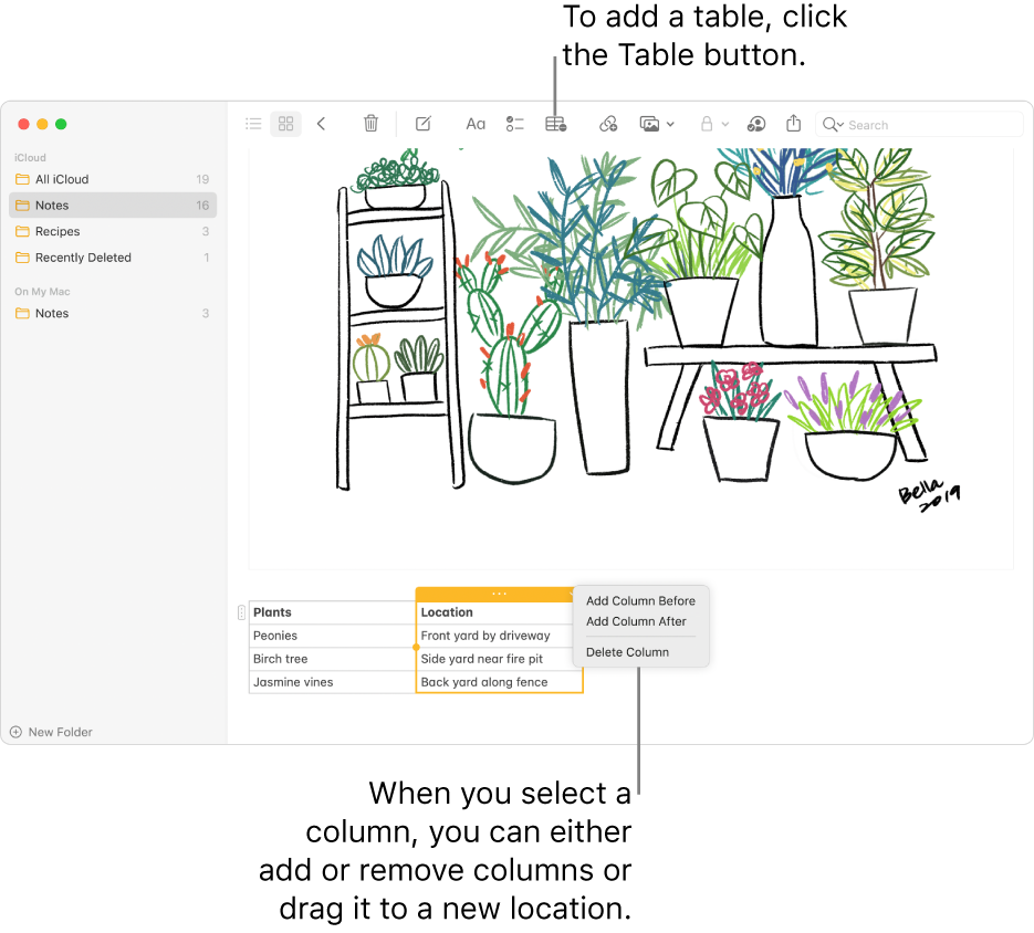 The Notes window showing the Table button — click it to add a table. Within the note content, a table column is selected so you can either add or remove columns or drag it to a new location.