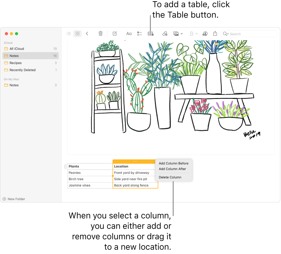 The Notes window showing the Table button—click it to add a table. Within the note content, a table column is selected so you can either add or remove columns or drag it to a new location.