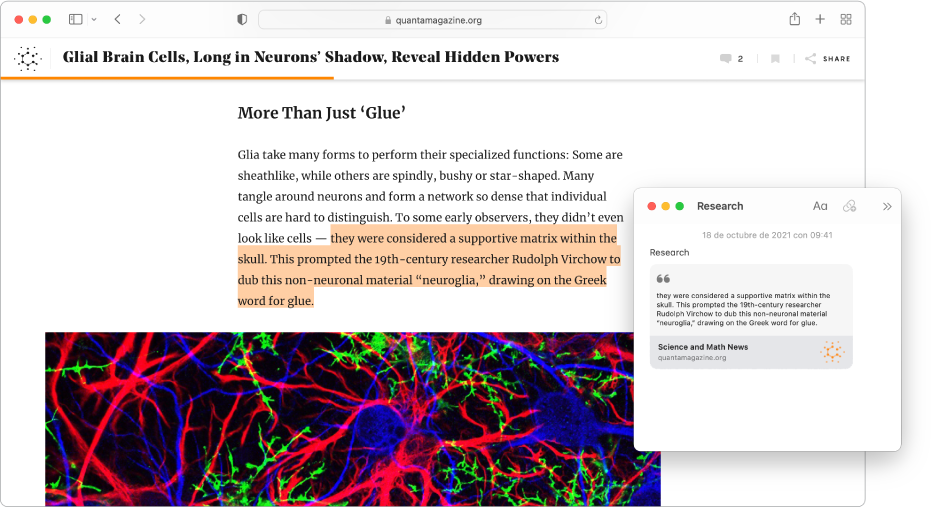 Una ventana de Safari con texto resaltado en un artículo de revista y una nota rápida llamada “Investigación” que incluye el texto y el enlace al artículo.