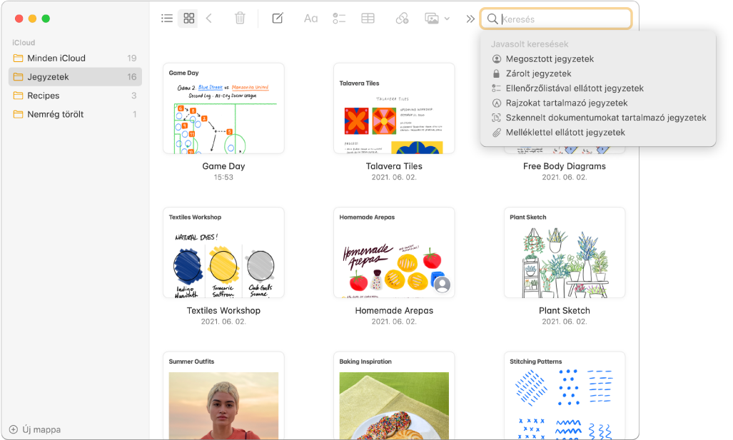 Jegyzetek galérianézetben - az egyes tartalmak bélyegképként láthatóak. A keresési javaslatok a jobb felső sarokban jelennek meg, mint pl. a zárolt jegyzetek vagy a mellékletet tartalmazó jegyzetek.