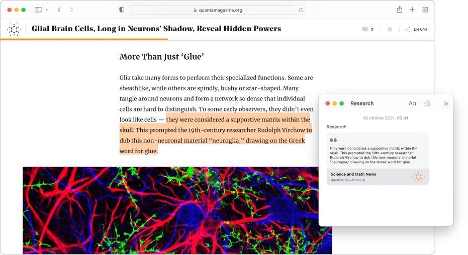 Una finestra di Safari con un testo evidenziato in un articolo di una rivista e una nota rapida chiamata Ricerca che include il testo e un link all'articolo.