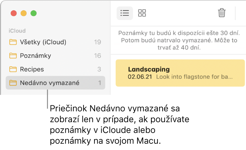 Okno aplikácie Poznámky s priečinkom Nedávno vymazané na postrannom paneli a nedávno vymazaná poznámka. Priečinok Nedávno vymazané sa zobrazuje, iba ak používate iCloud poznámky alebo poznámky na Macu.