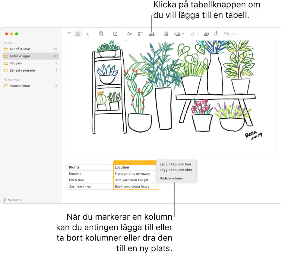 Fönstret Anteckningar med knappen Tabell – klicka på knappen om du vill lägga till en tabell. I anteckningsinnehållet är en tabellkolumn markerad så att det går att antingen lägga till eller ta bort kolumner eller dra den till en ny plats.