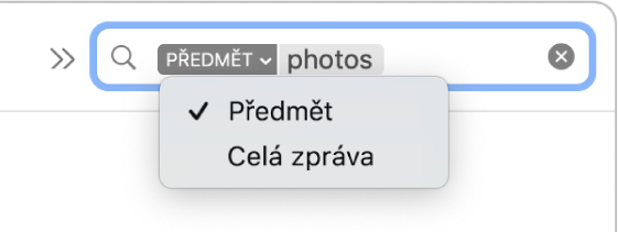 U vyhledávacího filtru se po kliknutí na šipku dolů zobrazí dvě volby: Předmět a Celá zpráva. Je vybrána položka Předmět