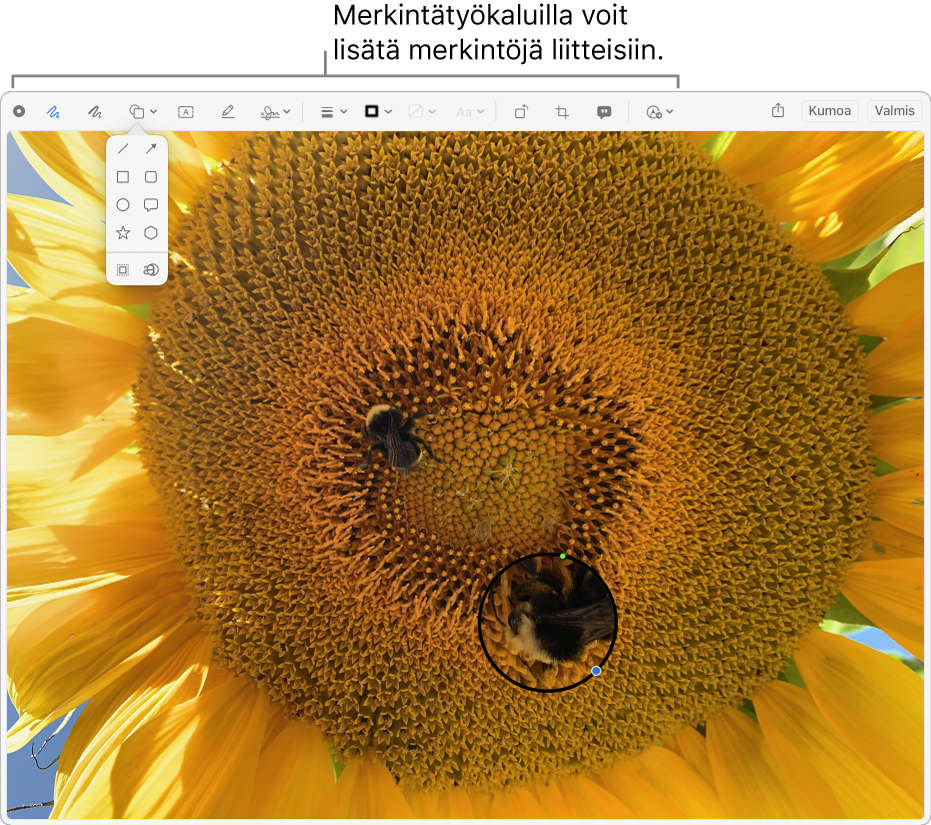 Liite, jonka yläosassa on Merkintä-työkalupalkki.