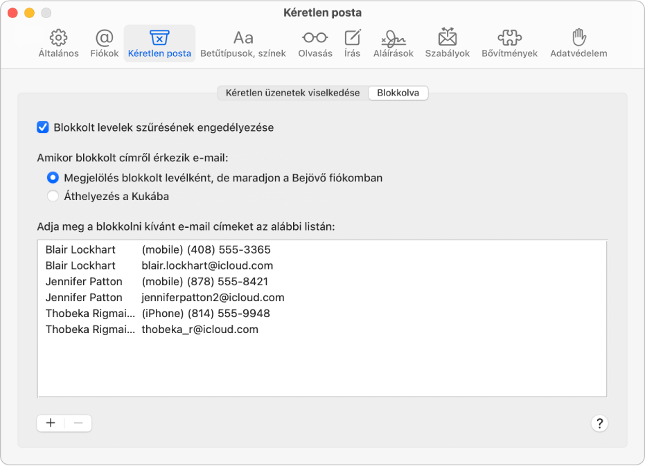 A Blokkolási beállítások panelen a blokkolt küldők listája látható. A blokkolt e-mailek szűrésének engedélyezéséhez tartozó jelölőnégyzet ki van választva, a beérkezéskor a Bejövő postafiókba érkező blokkolt e-mailek jelölésére szolgáló lehetőséggel együtt.