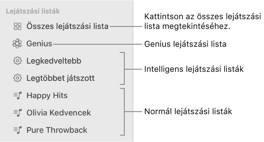 A Zene oldalsávon különböző típusú lejátszási listák láthatók: Genius, Intelligens és általános lejátszási listák. Az összes lejátszási lista megtekintéséhez kattintson az Összes lejátszási lista elemre.