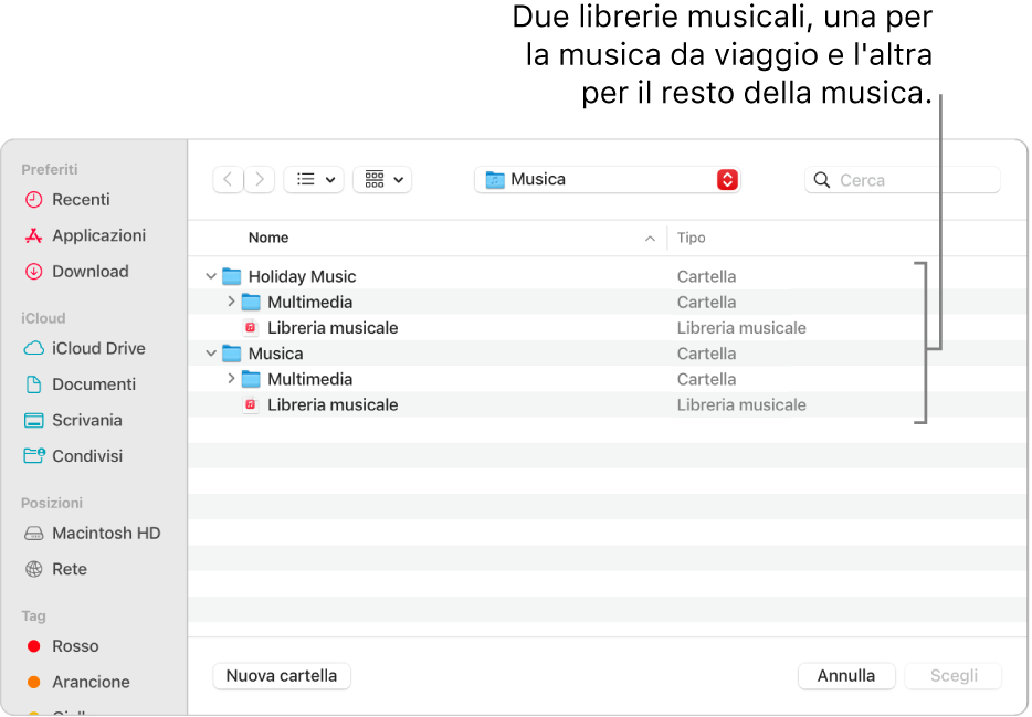 La finestra del Finder che mostra più librerie: una per la musica da viaggio e le altre per il resto della musica.