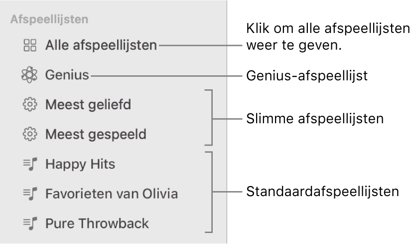 In de navigatiekolom van Muziek zie je de diverse typen afspeellijsten: Genius-, slimme en standaardafspeellijsten. Klik op 'Alle afspeellijsten' om ze allemaal te bekijken.