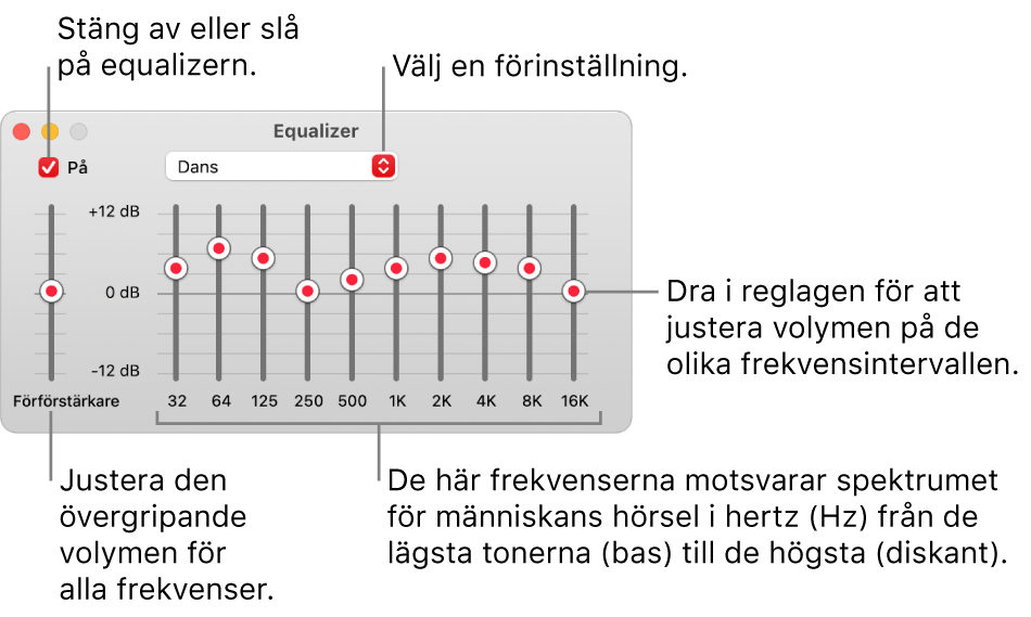 Equalizer-fönstret: I övre vänstra hörnet finns kryssrutan för att slå på Musik-equalizern. Bredvid den finns popupmenyn med förinställningarna för equalizern. Längst till vänster kan den allmänna volymen för alla frekvenser justeras med förförstärkaren. Under förinställningarna för equalizern går det att justera volymen för olika frekvensintervall som representerar spektrumet för människans hörsel från lägsta till högsta.