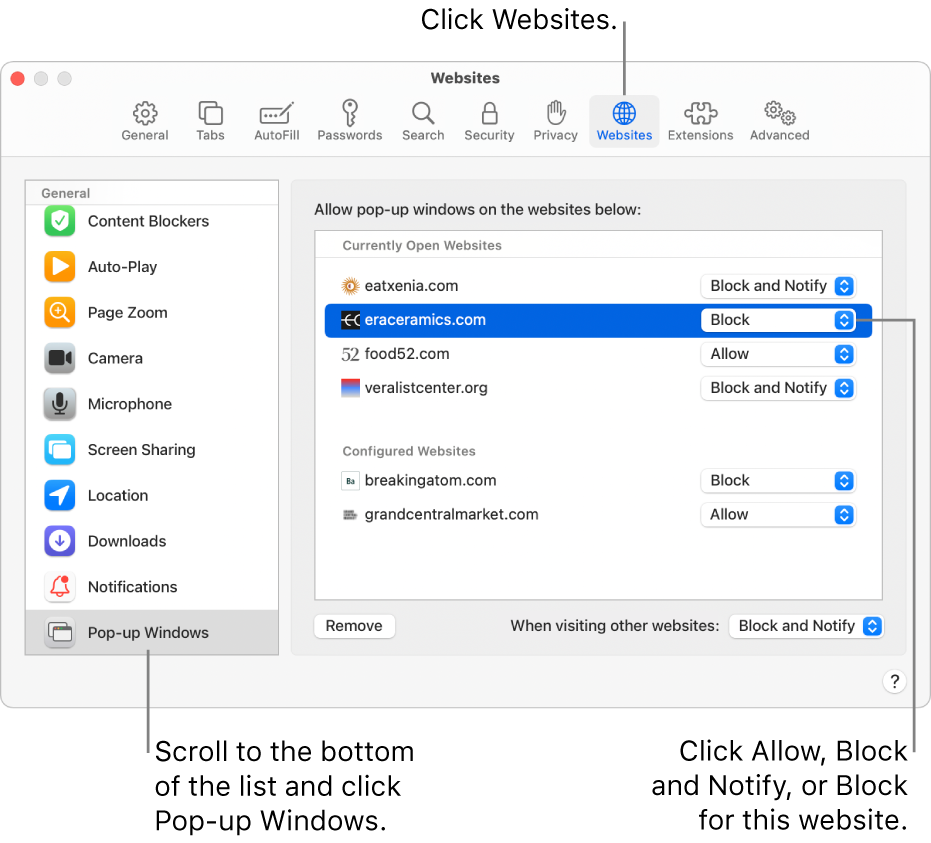 A window showing Safari preferences for websites, with Pop-up Windows selected at the bottom of the sidebar and a currently open website selected.