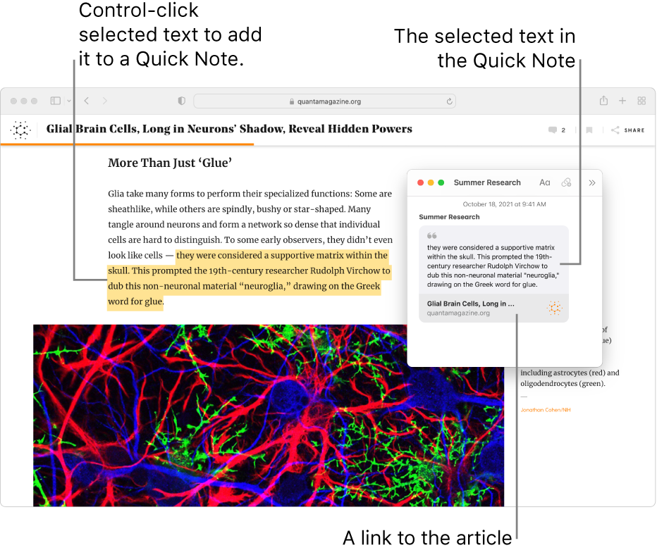 how to highlight text on a webpage