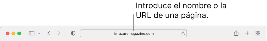 El campo de búsqueda inteligente de Safari, donde puedes escribir el nombre o la URL de una página.